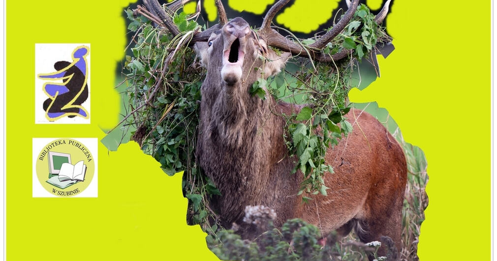 Bezkrwawe łowy
