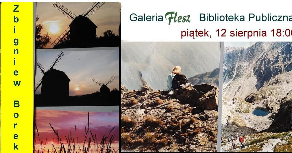 Borek w Galerii Flesz