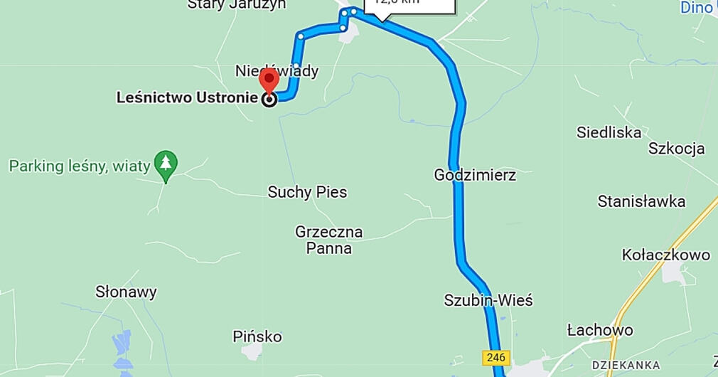 ŁĄCZĄ NAS DRZEWA - Sadzimy las!