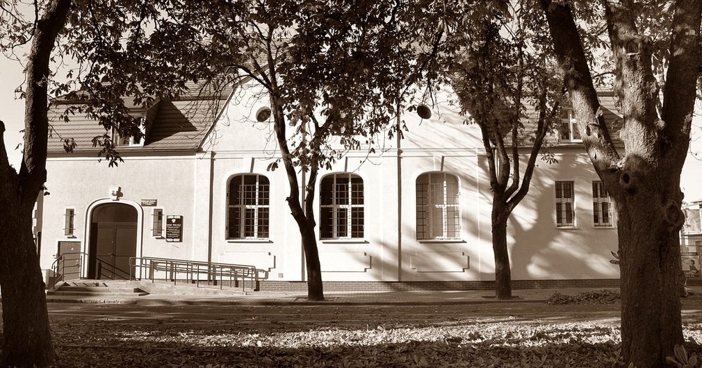Niedziela w Muzeum