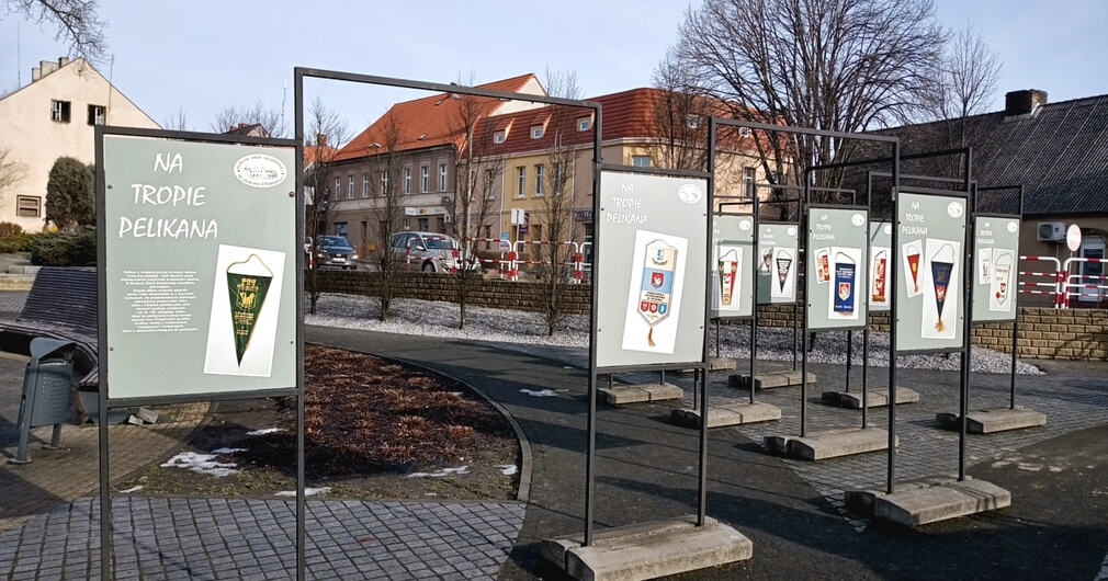 NA TROPIE PELIKANA - zapraszamy na szubiński rynek
