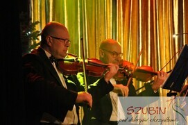 wiedeński 00048
