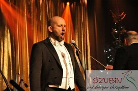 wiedeński 00025