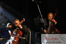 wiedeński 0008